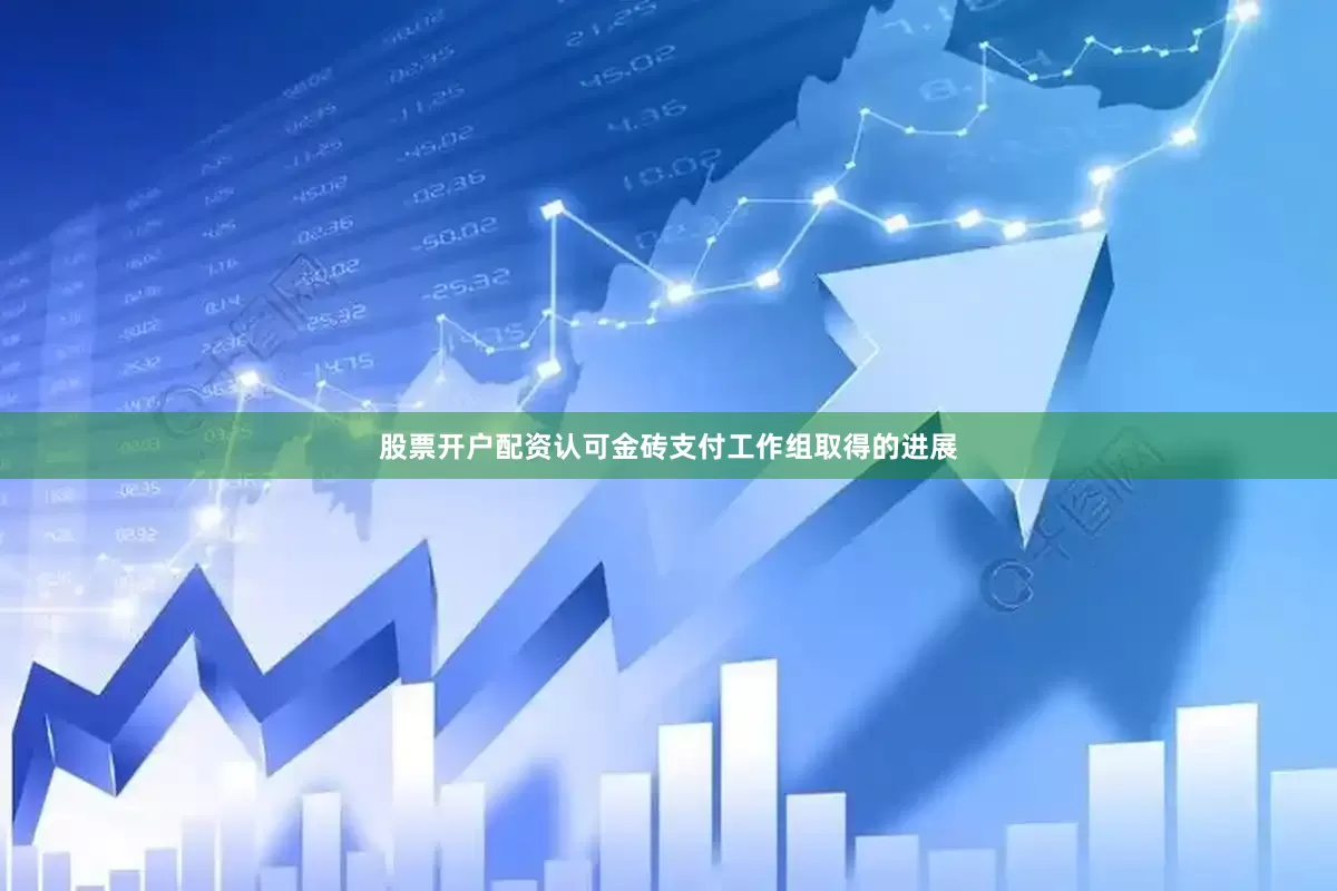 股票开户配资认可金砖支付工作组取得的进展