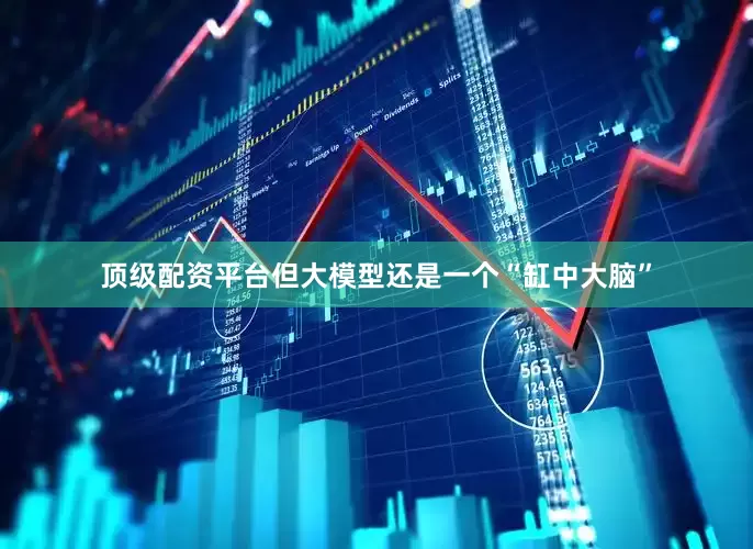 顶级配资平台但大模型还是一个“缸中大脑”