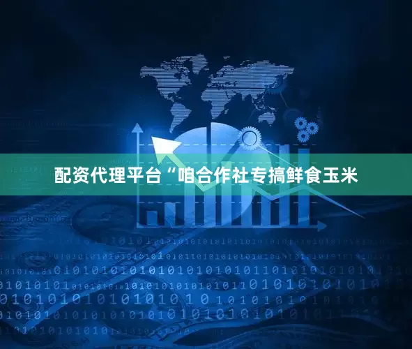 配资代理平台“咱合作社专搞鲜食玉米